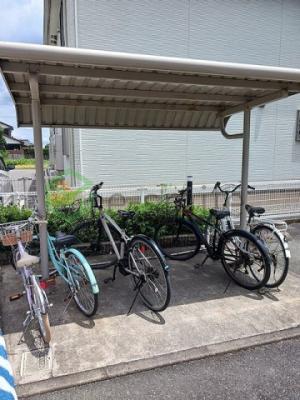 【その他】 | ニュークレストール華
