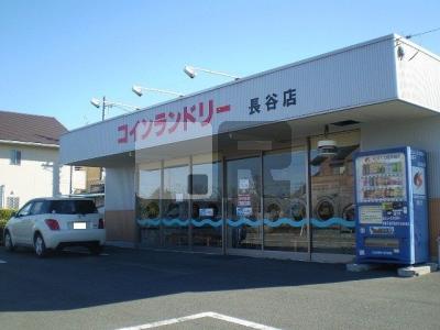 【周辺】 | ブローテ　Β | コインランドリー長谷店まで900m