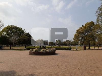 【周辺】 | ジュノスＡ | 美薗中央公園まで240m