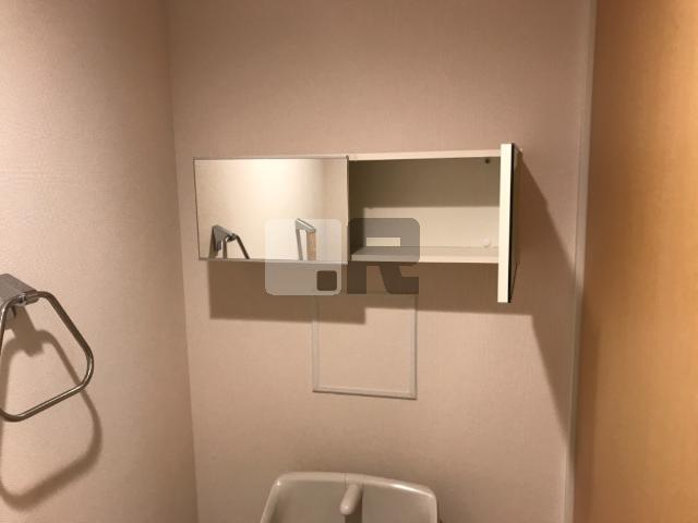 【収納】 | カーサマグノリア | トイレ収納