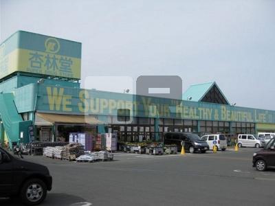 【周辺】 | ル・ソレイユ | 杏林堂ドラッグストア芳川店まで1000m