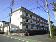 安立マンションの画像