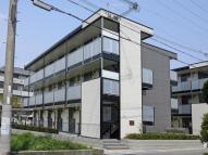 Ｍｉｌａｎｉｓｔａの画像